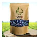FARM 29- Fresh From Farmers Blueberries (100 Gm) (TAOPL-1028)